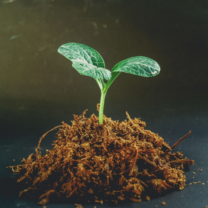 Assessor jurídico ambiental do Sindirochas é nomeado para a JARI Ambiental no Estado